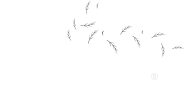 Calliance logo